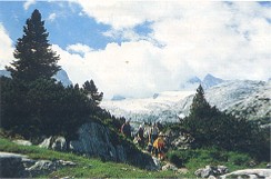 Simonyhütte