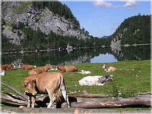 Am Gosausee