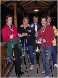 Nordic Walking in Bad Goisern