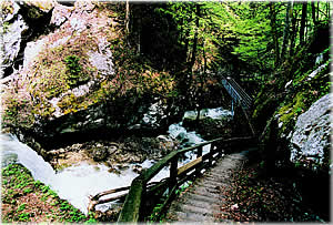 Der Soleweg in Hallstatt