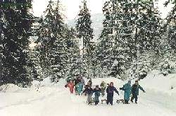 Rodelbahnen in Österreich